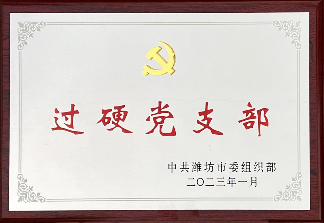 濰坊市過(guò)硬黨支部